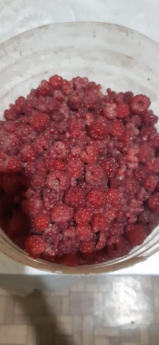 Продам малину только собранные