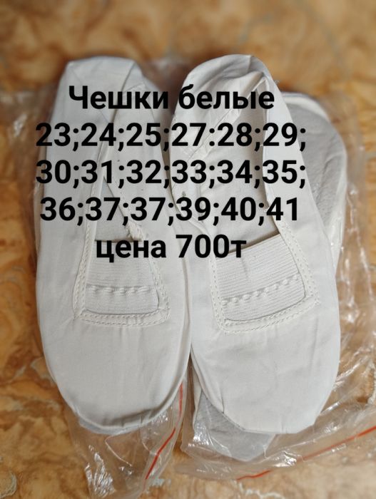 Балетки для танцев. Чешки