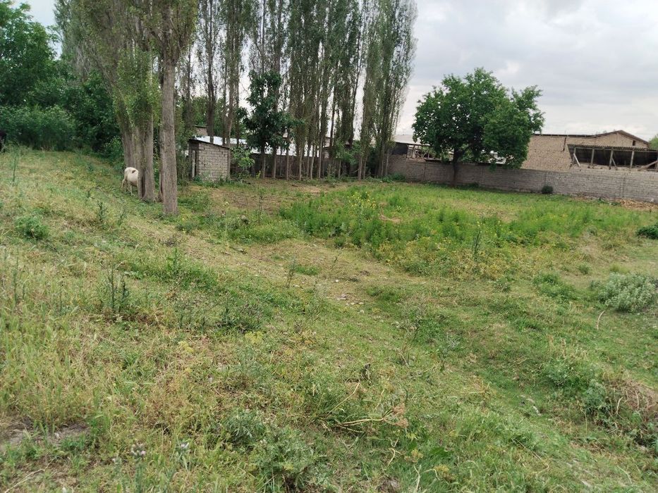 Ер сотилади. Yer sotiladi.