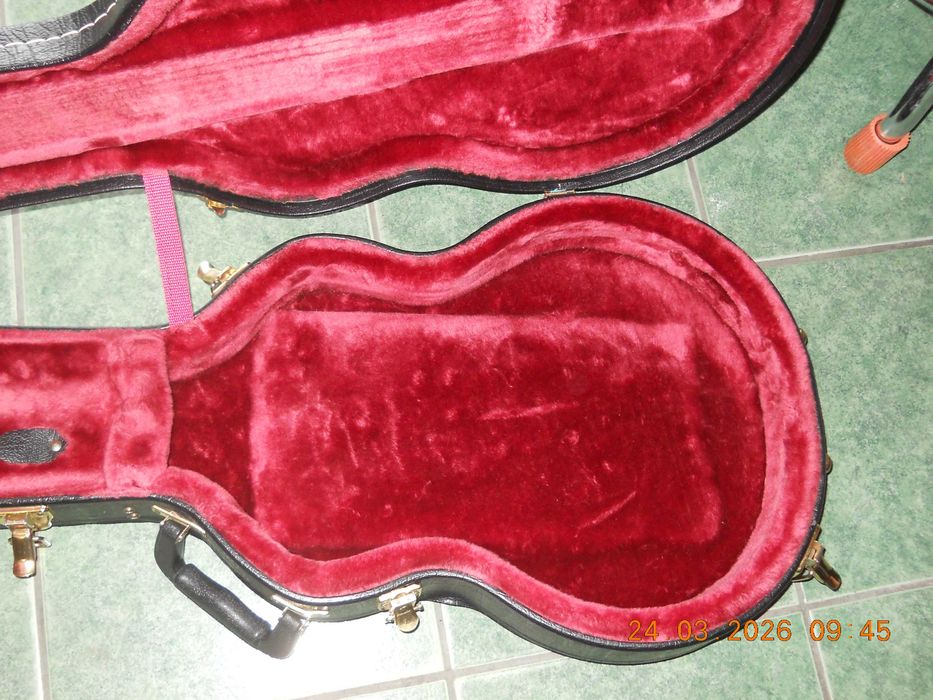 Case chitara electrica/classica