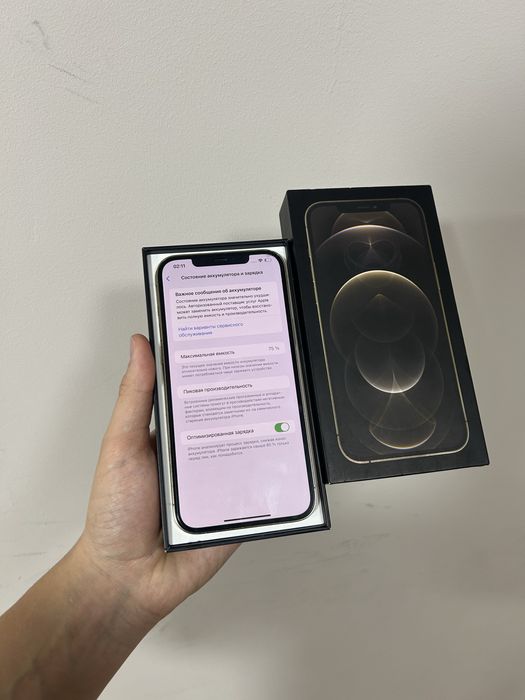 iPhone 12 Pro Max 128 GB