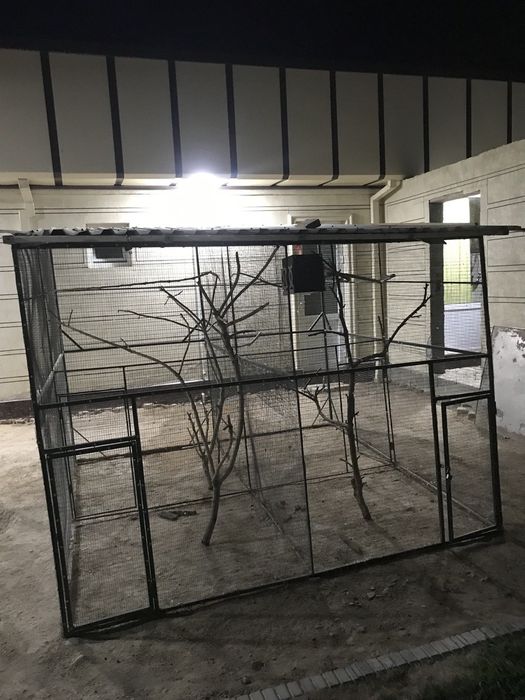 Валер для попугаев