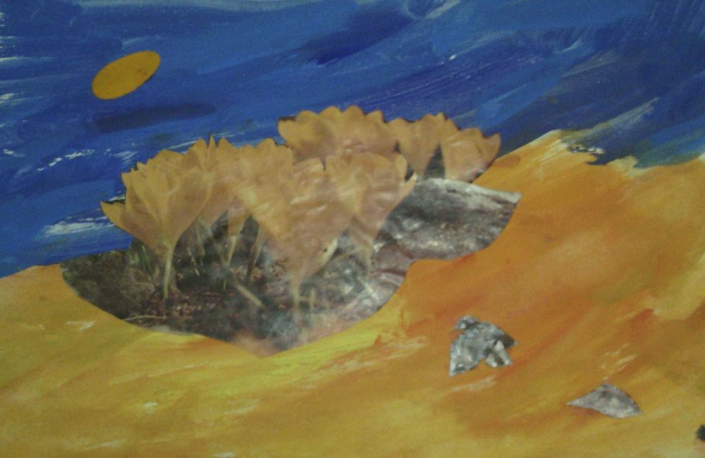 Картини, рисувани камъчета