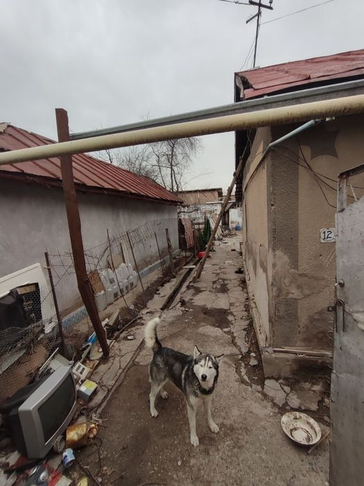 Участок 5 соток поселок Искандер