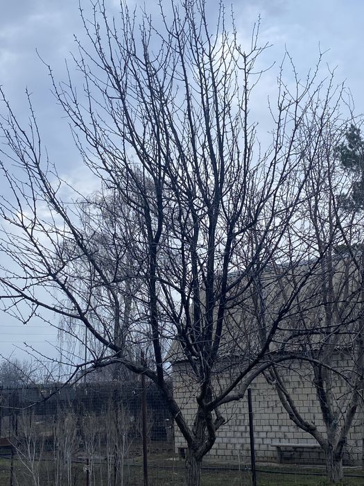 Продам дачу , 2- дачная напрово