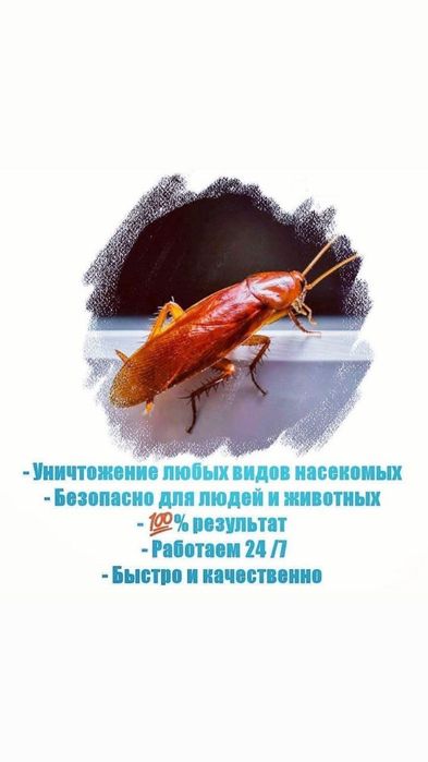 Dizinfeksiya Dezinfeksiya