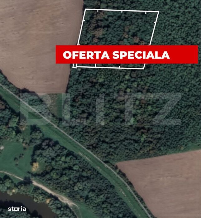 Padure 10.000 mp Șag – front stradal 100 m, zona in dezvoltare