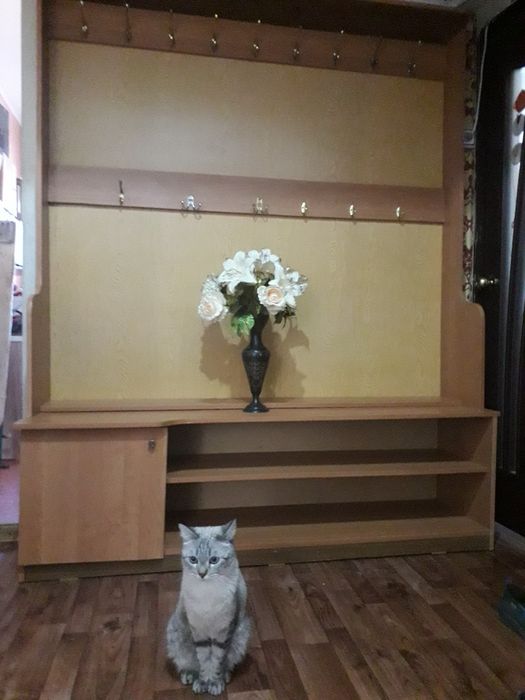 Прихожка в хорошем ссстоянии