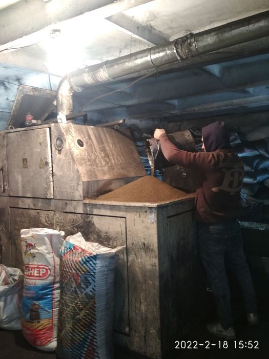 Магниченные семена люцерны.