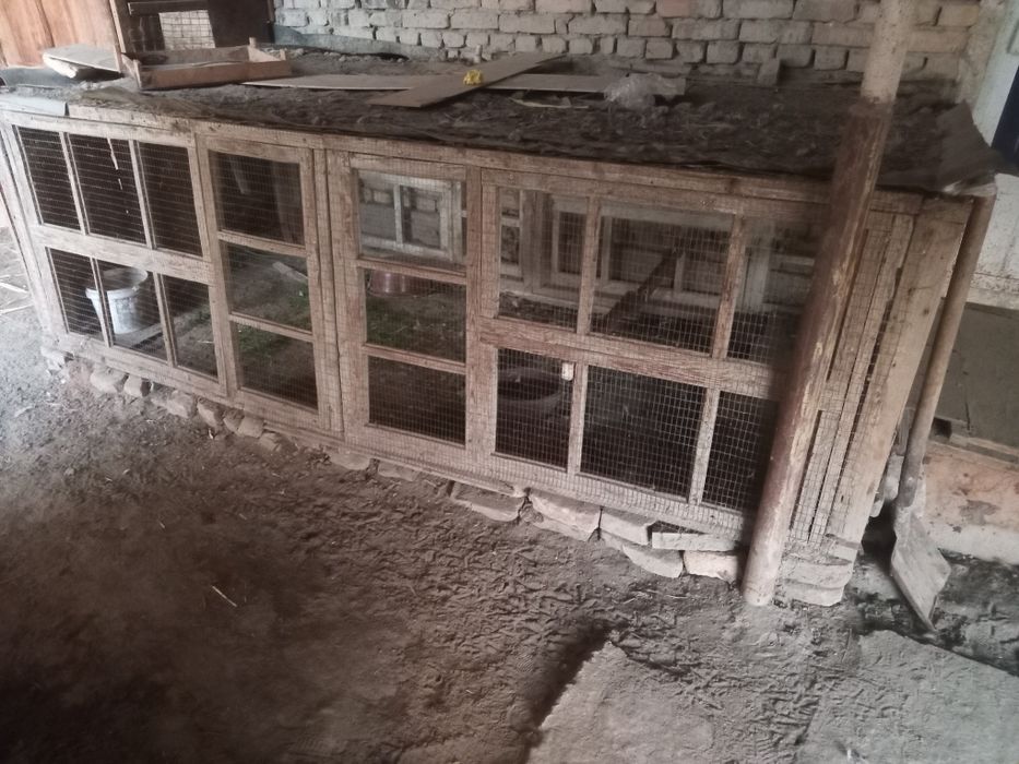 qafas sotiladi 800000 sum buliwi