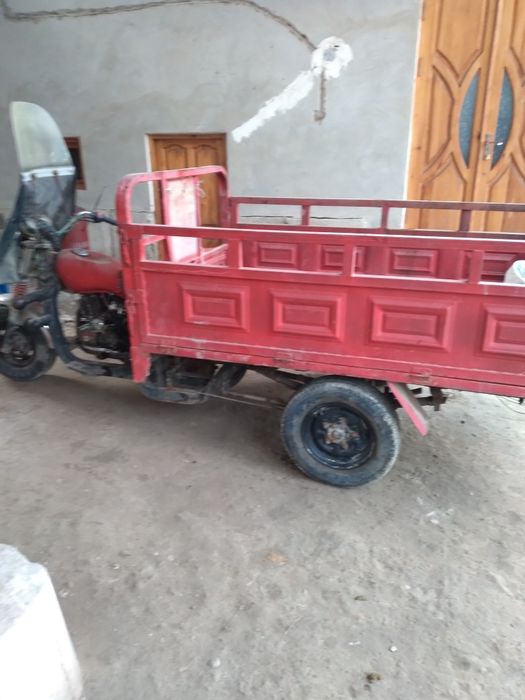 Munis muravek Yangi mator holati yaxshi