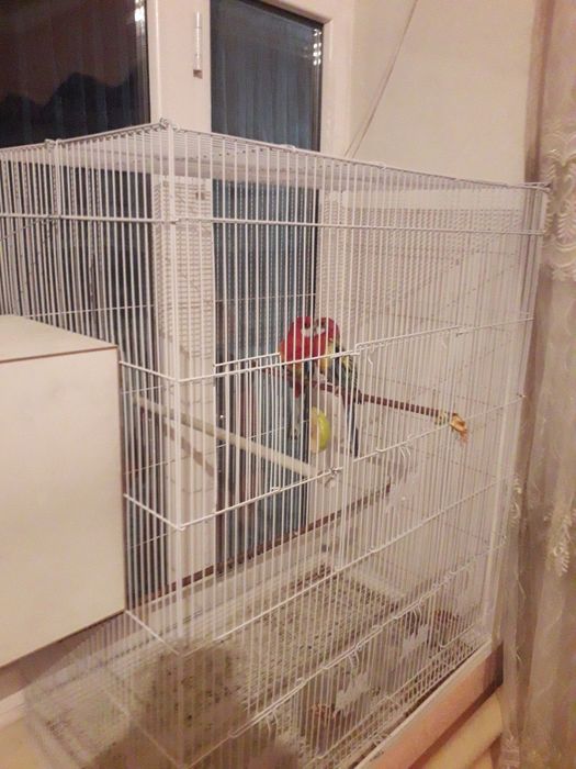 Assalomu aleykum Razella sotiladi aleykum Razella sotiladi oladiganla