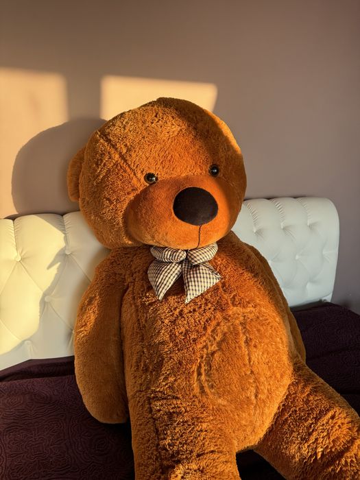 2 метровый медведь