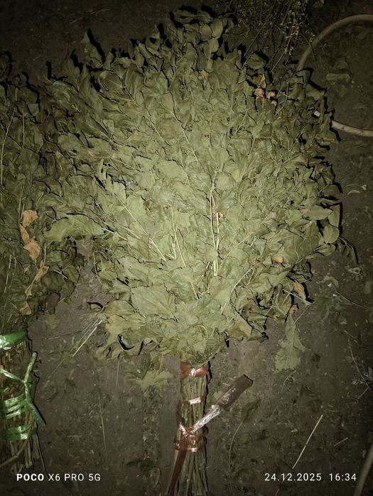 Банные веники и травы