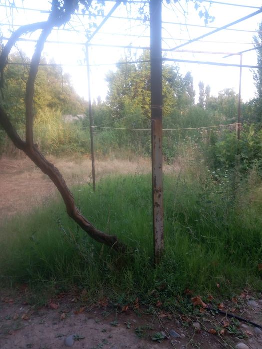 Дача ховли сотилади ,