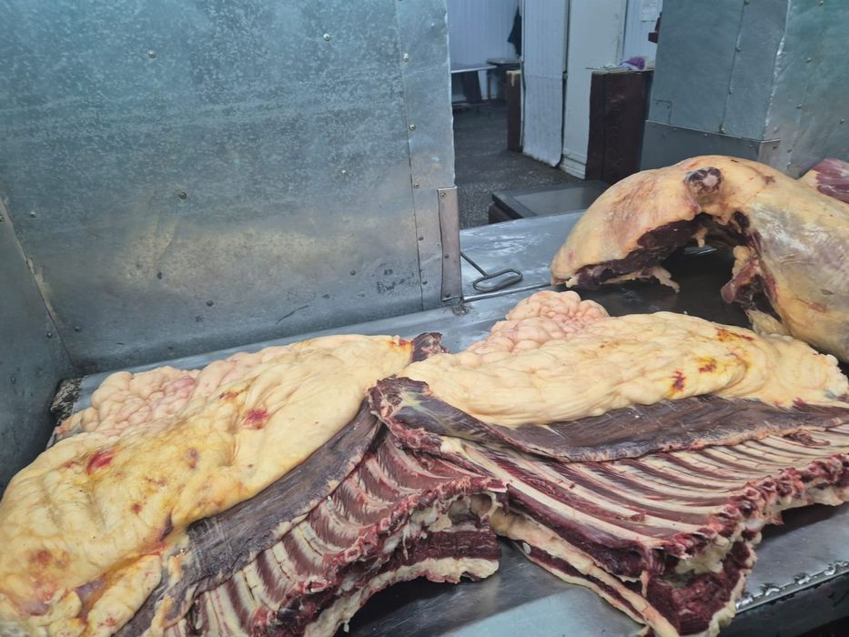 Согым с доставкой на дом