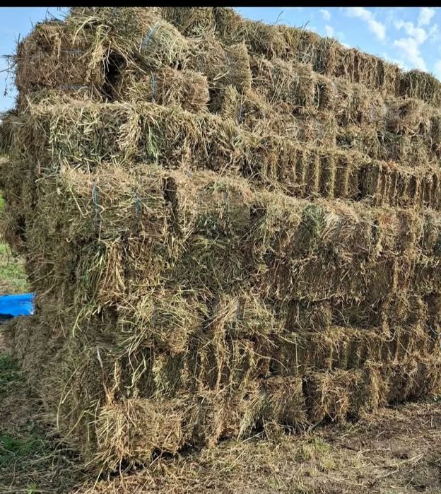 Baloți de fân de vânzare