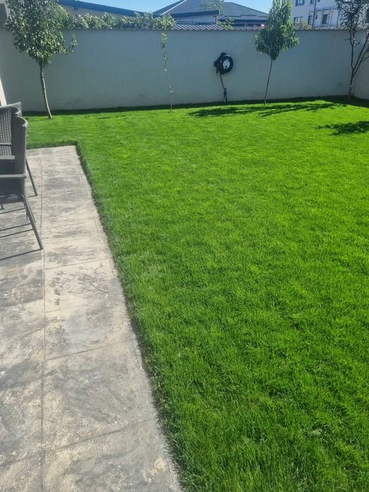 Montaj Gazon Rulou + Sistem Irigatii