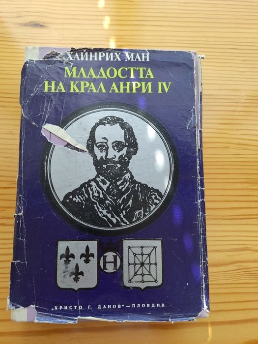 Младостта на крал Анри 4.