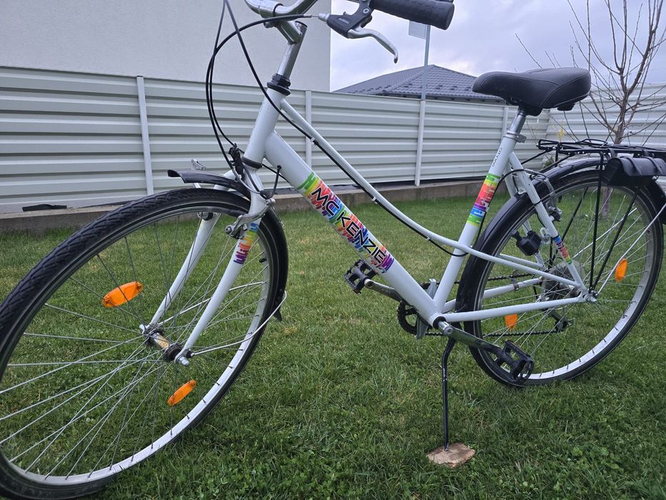 Bicicleta Mc Kenzie 28