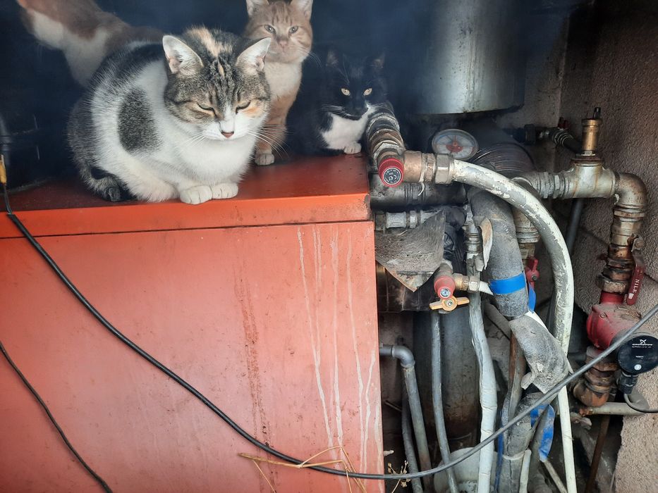 Vănd cazan termic Arca Turbogen