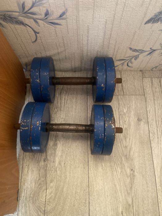 Гантели разборные