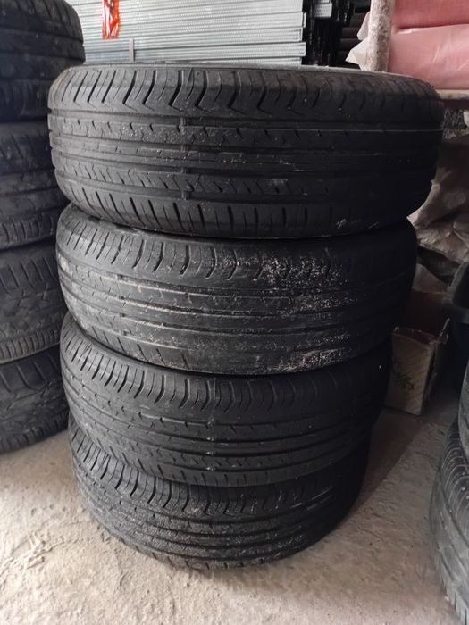 Балондар летни 17 14 15 торус бар