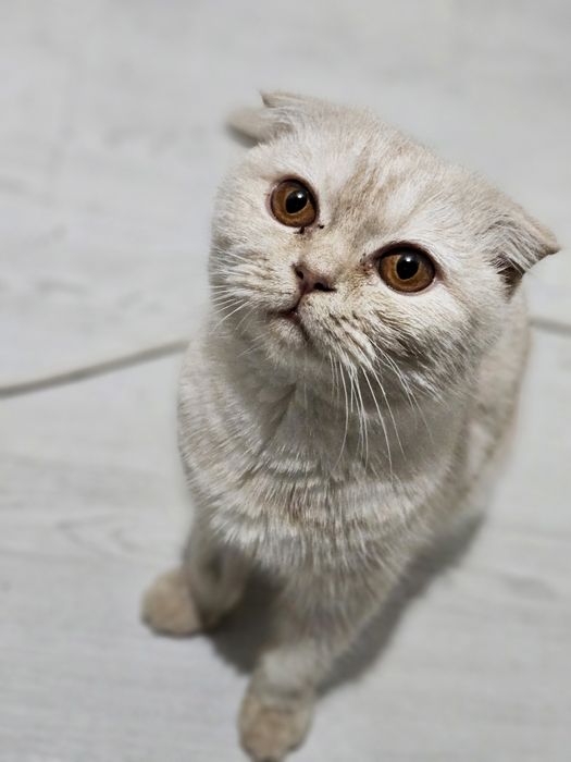 Kinodagi eng gozal erotik sahnalar