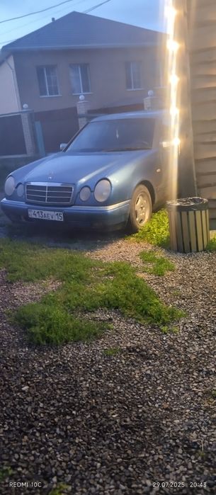 Продам живого мерса