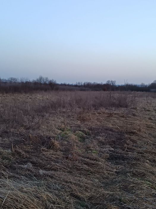 Teren de vânzare în Merișor