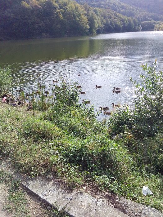 Продава се Парцел в с. Тополи, Област Варна - 1800 кв.м за 39 €/кв.м - Снимка #1