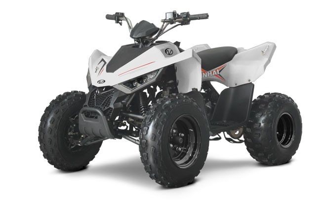 ATV Linhai 110 (nu segway,can am,polaris,cf moto)