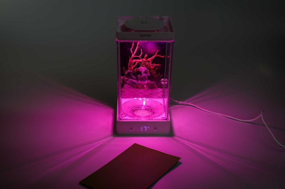 Mini Acvariu de birou Kodiak  special pentru pesti Beta