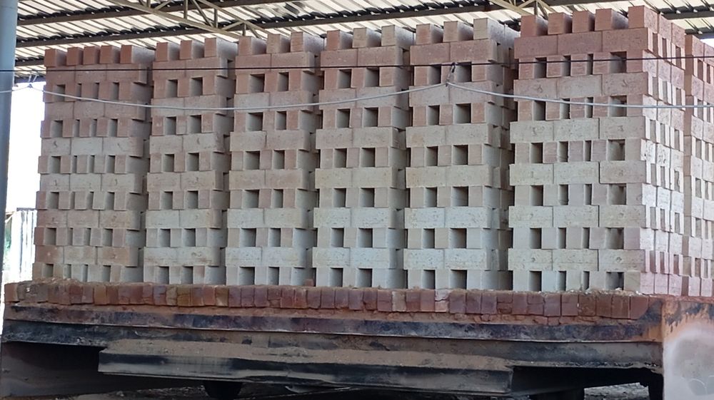 Pishgan gish sotiladi