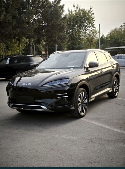 Byd chempion qora 605 km