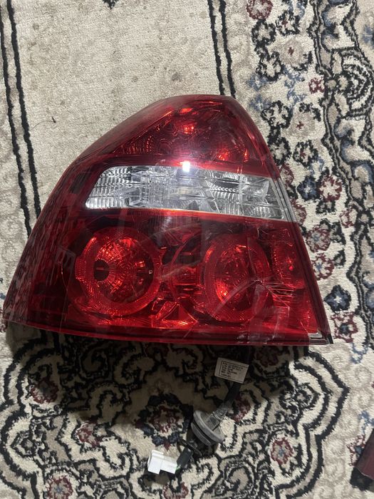 Полик жентира ласетии