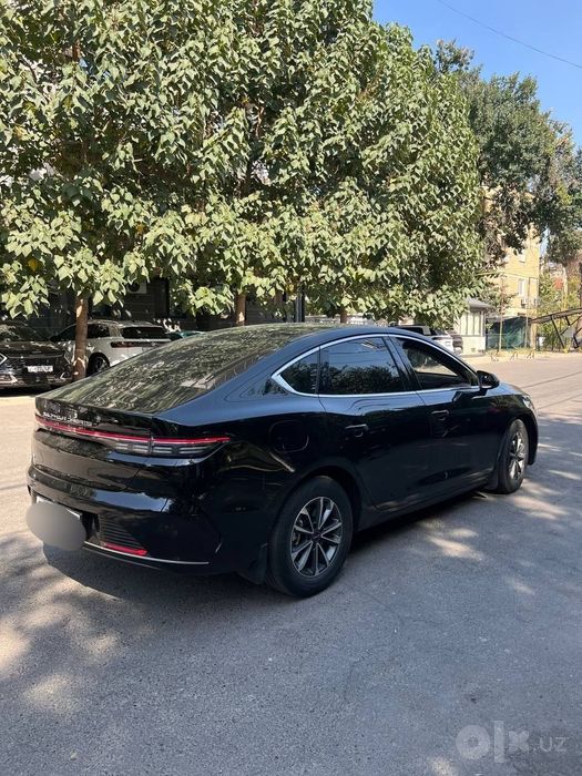 Byd chazor 55 km.