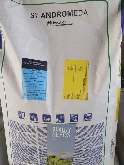 Продам семена кукурузы