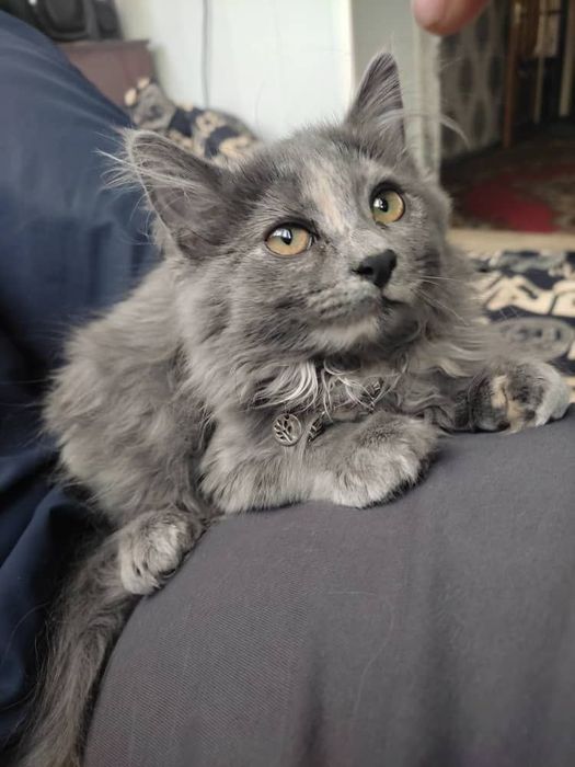 Dom 2 da jinsiy aloqa, buzuqlik va yalangochlik