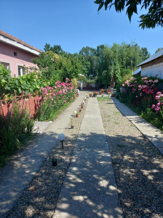 Vand Casa sat Greci comuna Osica de Sus