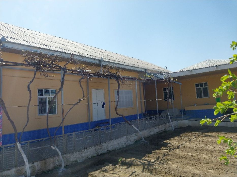 Hovli sotiladi  umid qurgʻoni