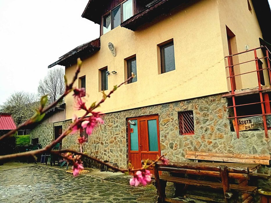 Se închiriază  in totalitate-Căsuța din pădure Călimănești