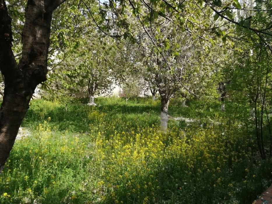 Загородный Огромный дом