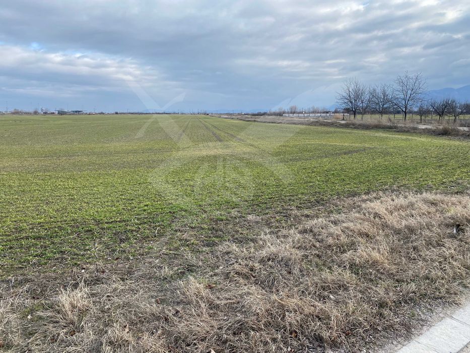 Продава се Парцел в с. Крумово, Област Пловдив - 1212 кв.м за 52 €/кв.м - Снимка #1