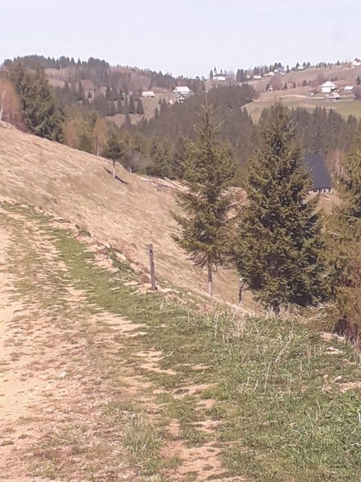 Vând teren în Maguri, Cluj