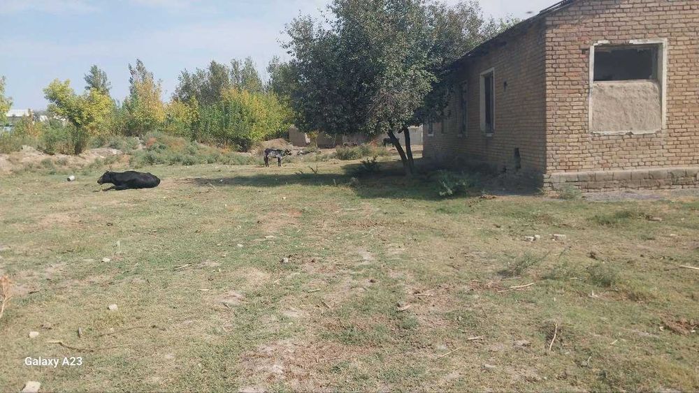 Koʻchmas mulk xizmat uyi va ayvon binosi