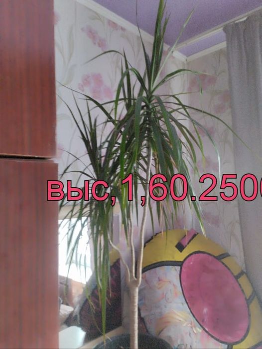 Продам. Для дома и офиса