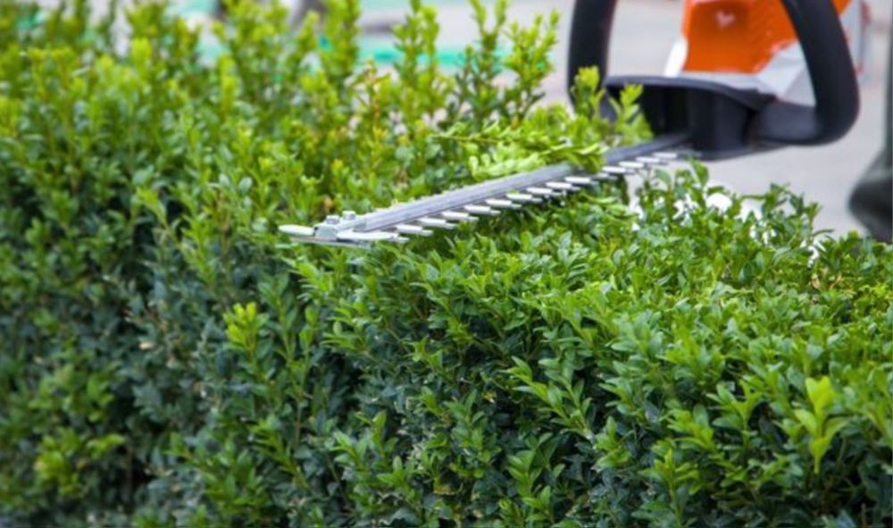 Amenajare și întreținere suprafețe gazon și spații verzi