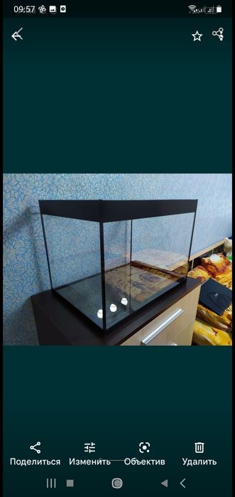 Аквариумы на заказ