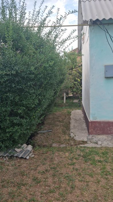 Срочный торг, под бизнес